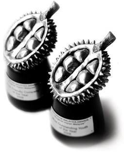 awards_img1